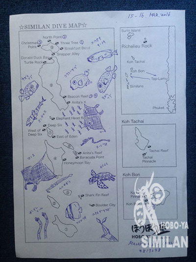 今回見た魚たち!