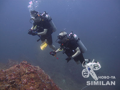 水中でのダイビング姿!