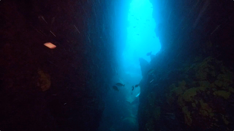 縦長のケイブ＠Shark Cave（ミャンマークルーズ）