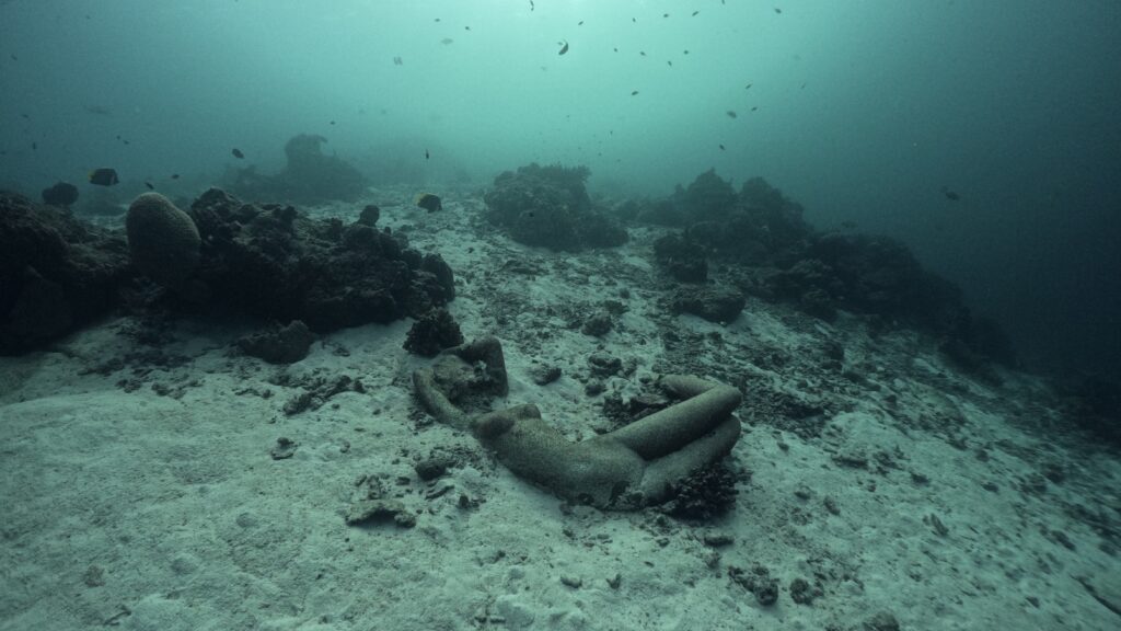 Underwater photo#2