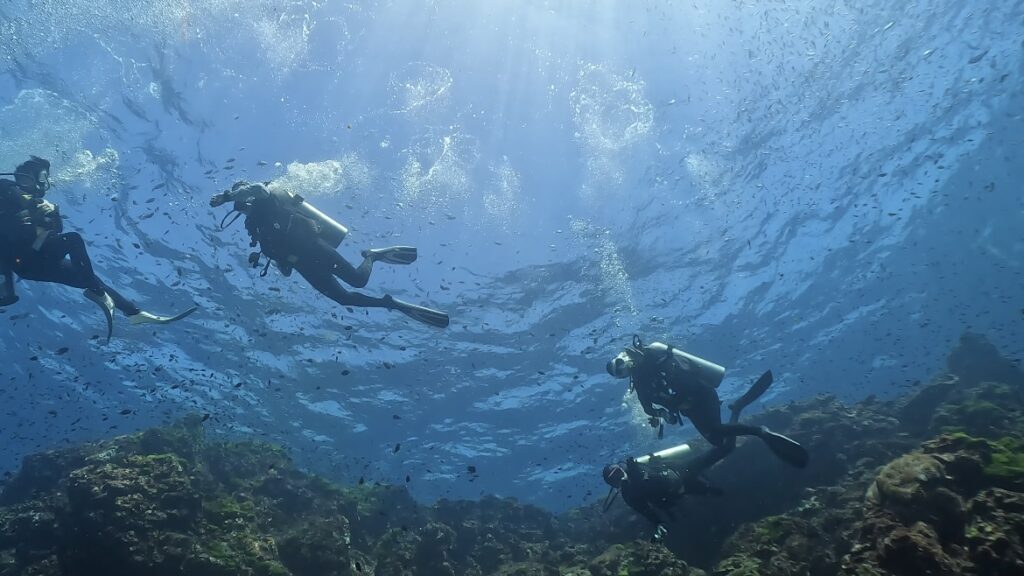 Underwater photo#1
