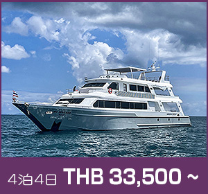 シミラン諸島〜リチェリューロック／デラックスクルーズ／マンダリンクイーン９