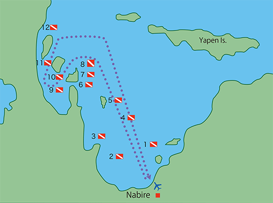 チェンデラワシ湾 ダイビングポイントマップ／驚愕の海ダイブクルーズ／パヌニー