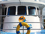 Boat image #1／MV Manta Queen1／Similan -Richelieu rock Liveaboard
