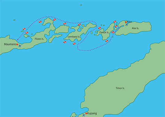 Dive Site Map/Alor - Maumere/MV Panunee