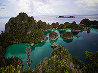 Image #16／Raja Ampat／Special trip／MV Panunee