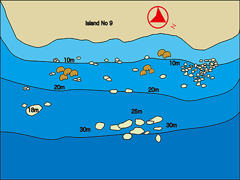 Dive site map/Three Trees