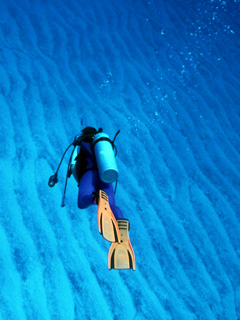 IMAGE/HOBO-YA SIMILAN／PADI SPECIALITY COURSES/COURCE INFORMATION